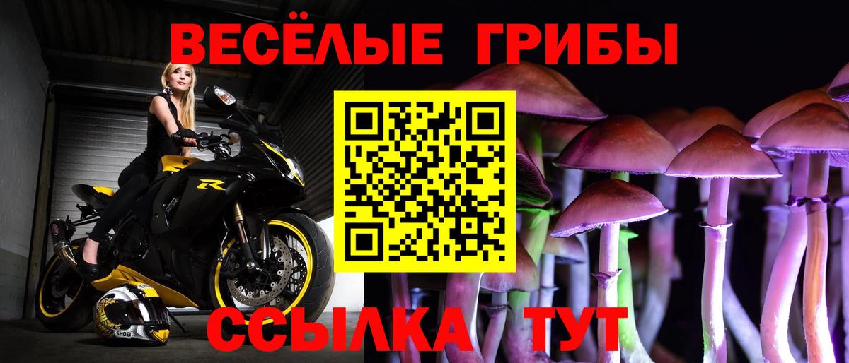 Галлюциногенные грибы прущие грибы  Вход с VPN  Симферополь 