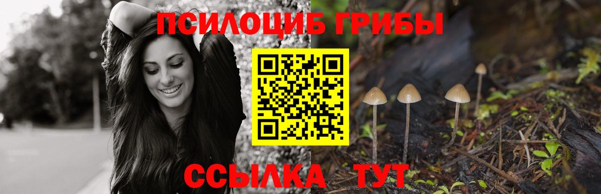Псилоцибиновые грибы ЛСД  Симферополь 