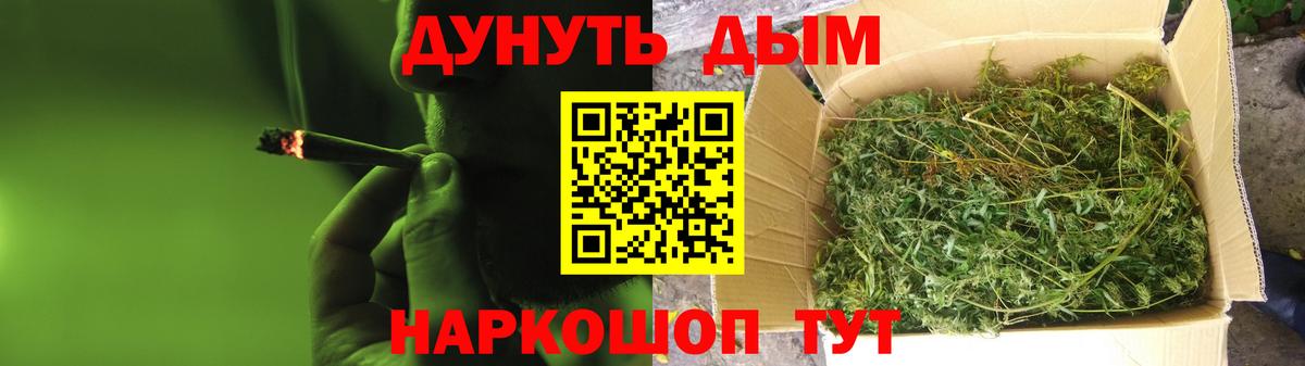 МАРИХУАНА семена  Симферополь  Каннабис семена 